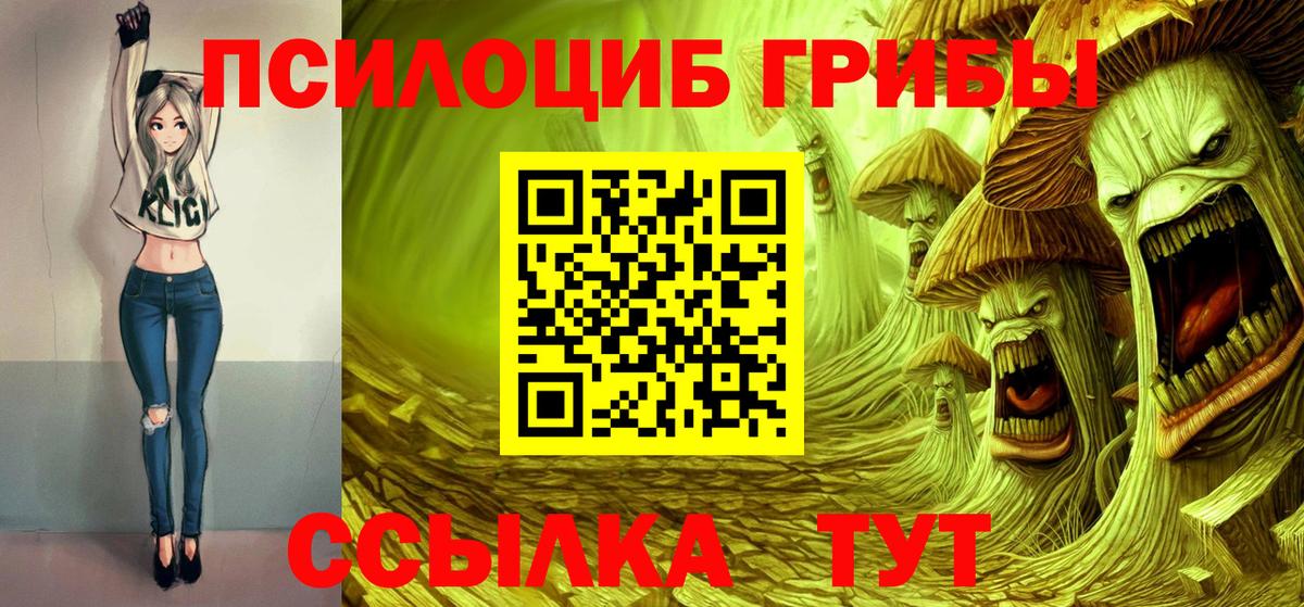 Галлюциногенные грибы Psilocybe  Вход с VPN  Новороссийск 