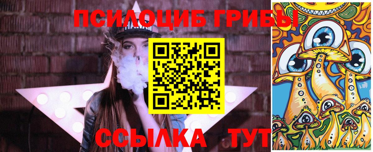 Псилоцибиновые грибы Cubensis Новороссийск
